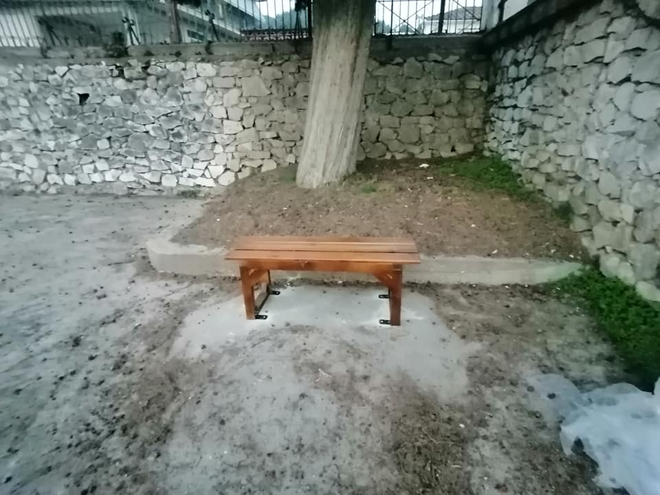 251140602 3029641323973074 2817390498158671257 n