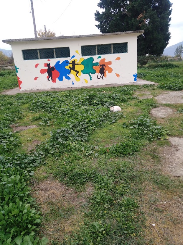 IMG 20211116 105341