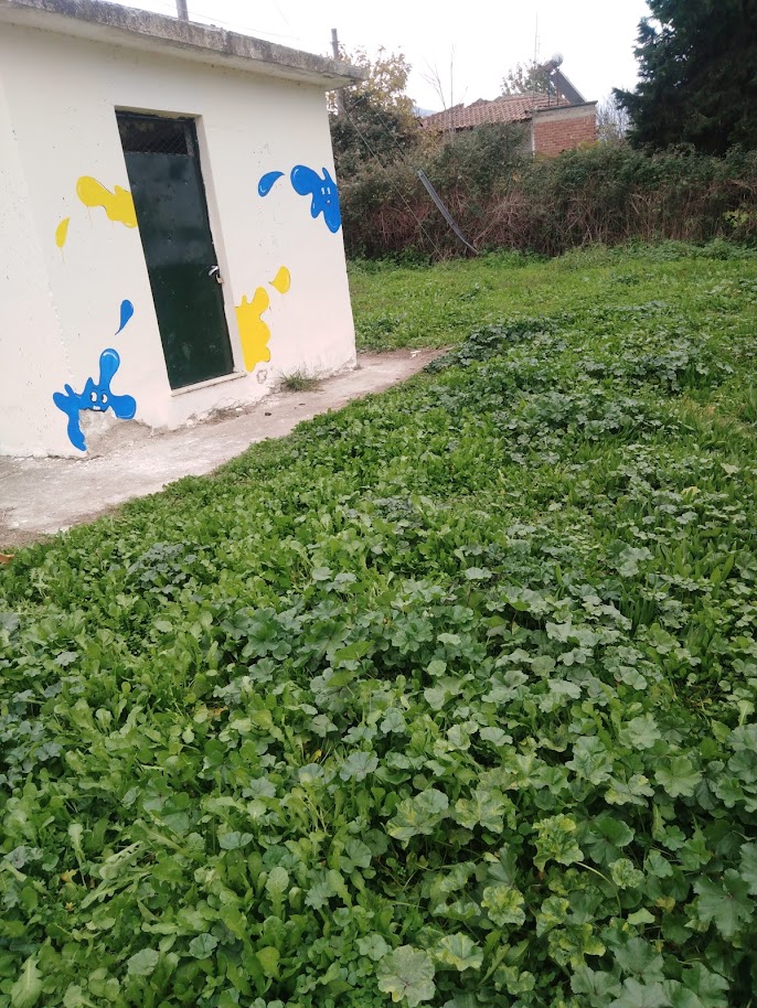 IMG 20211116 105509