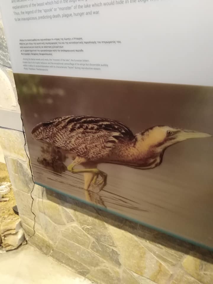 57194611 2262610374003583 6862222476072452096 n