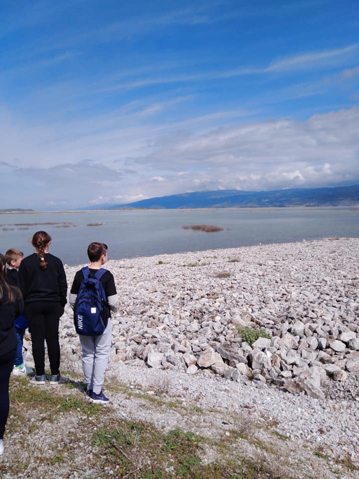 57373151 2262610514003569 6840866038955900928 n