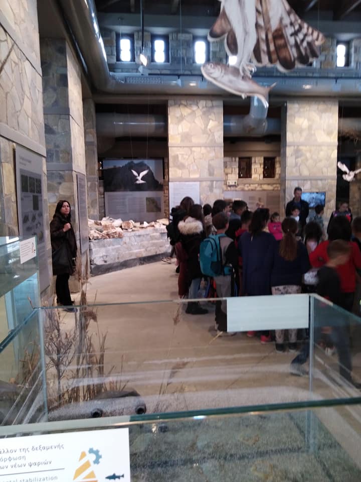 58057672 2262610467336907 2227501010438324224 n